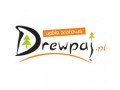 DREWPAJ