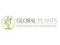 Gospodarstwo Ogrodnicze Global Plants